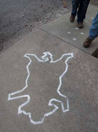 chalk outline of a whole hog on sidewalk
