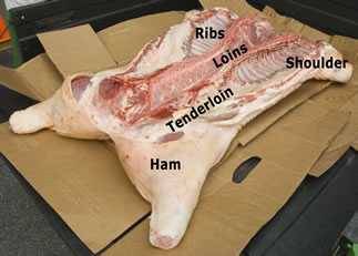 identifying the parts of a whole hog