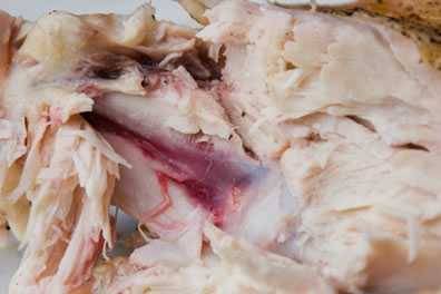 red/purple bone marrow in chicken