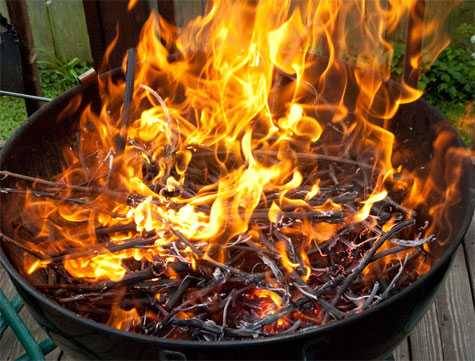weber grill burning vines